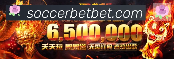 登录器
